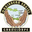 Caribbean Eagles